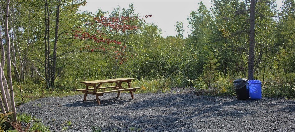 old foster trail 2.jpg